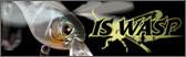 IMAKATSU IS Wasp 50 - Bait Tackle Store