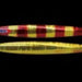JACKALL Anchovy Metal Type I 100g Red Gold Stripe (9718) - Bait Tackle Store