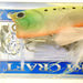 LUCKY CRAFT Bevy Popper 50 Chartreuse Ghost Sardine - Bait Tackle Store