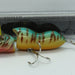 MEGABASS TIGERMAX Blue Tiger (1204) - Bait Tackle Store