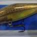 RAPALA SDRS-09 Shadow Rap Shad 3X Live Brown Trout - Bait Tackle Store