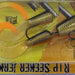 STORM R.I.P. Seeker Jerk 08 Redfin Shiner - Bait Tackle Store