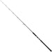 TAILWALK Jigforce SSD Jigging Rods - Bait Tackle Store