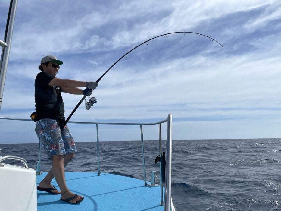 TAILWALK OFFSHORE FIGHTING BELT - Bait Tackle Store