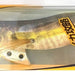 YAMASHITA EGI OH K 3.5 - Bait Tackle Store