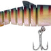 ZEREK Live Mullet 5.5" Orange Gill - Bait Tackle Store