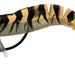 Zerek Live Shrimp 3.5" #14 - Bait Tackle Store