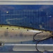 ZIPBAITS ZBL Fakie Dog DS 851R (3083) - Bait Tackle Store